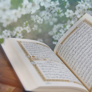 Understanding Quran in Arabic 3rd year