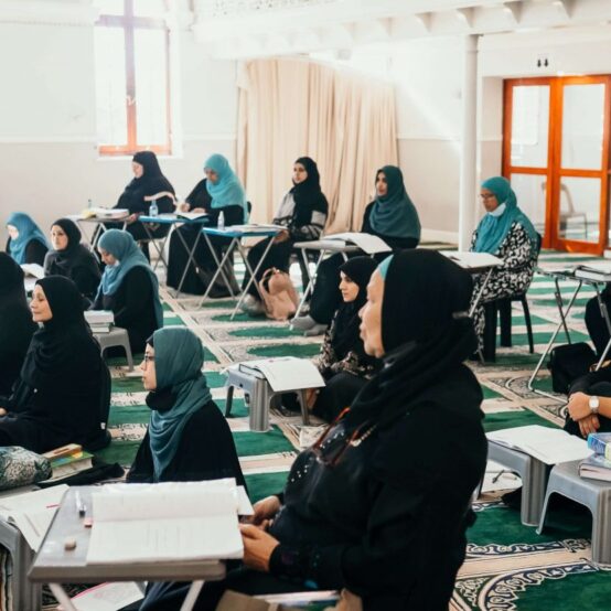 DSC01129-min-2-1536x831