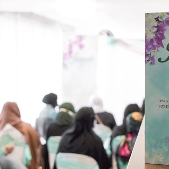 DSC03385-min-min-1536x929