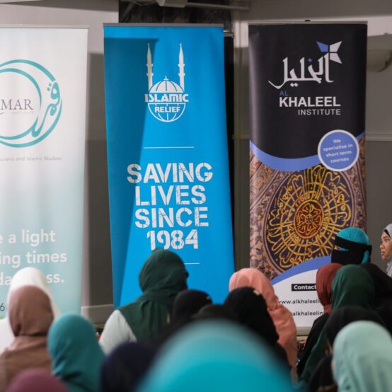 IMG_20221130_225135_178-min-1536x1033