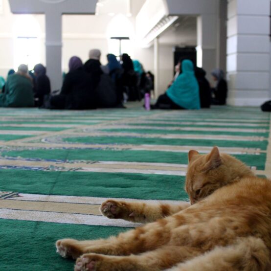 IMG_3432-1-1-1536x1024