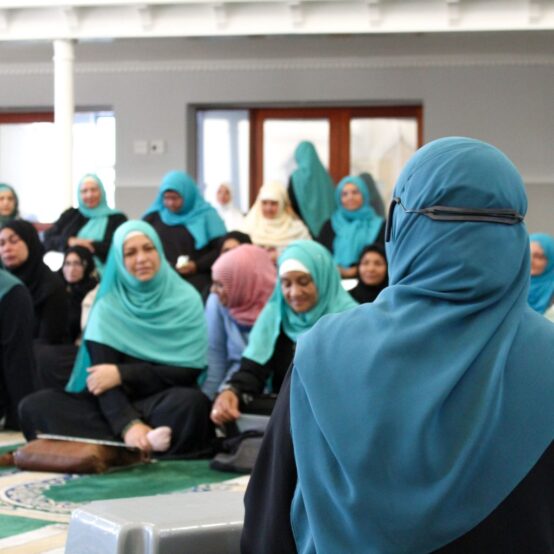 IMG_3586-1-1536x1024