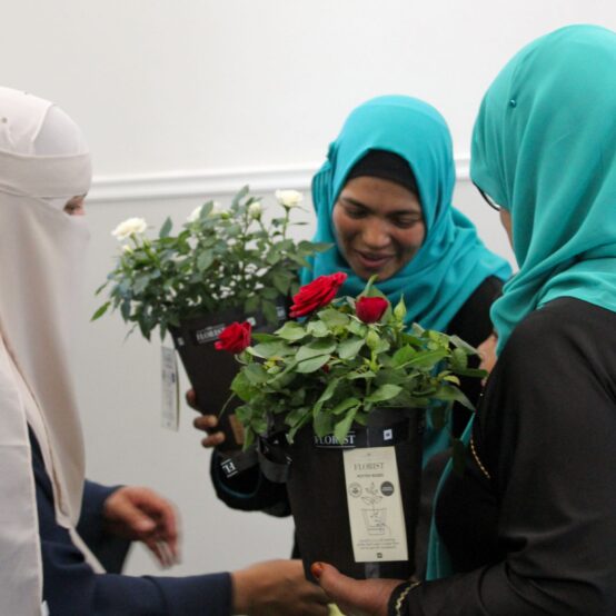 IMG_3711-1-1530x2048