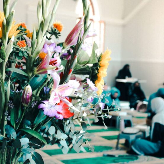 PHOTO-2021-01-26-11-37-31_1-1-1536x1024